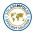 Solar impulse label