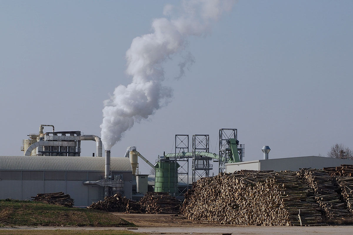 Pulpa-papel-solar-applicación-mercado-2