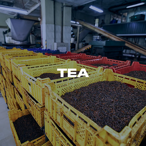Tea-solar-application-segment