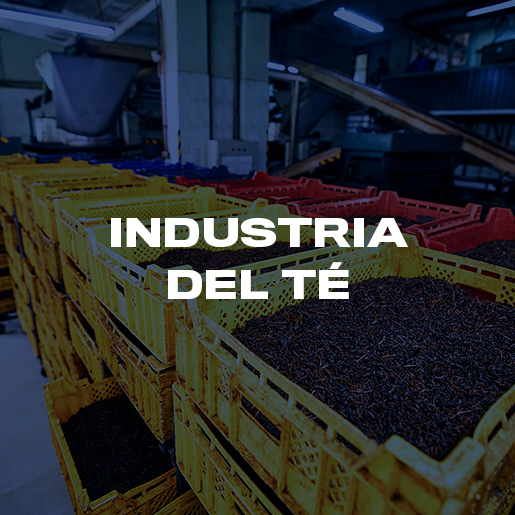 Industria del Té