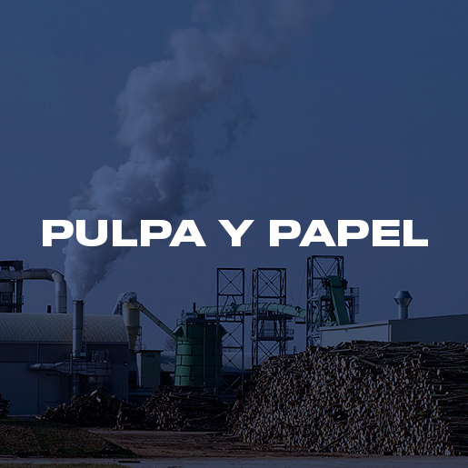 Pulpa y papel